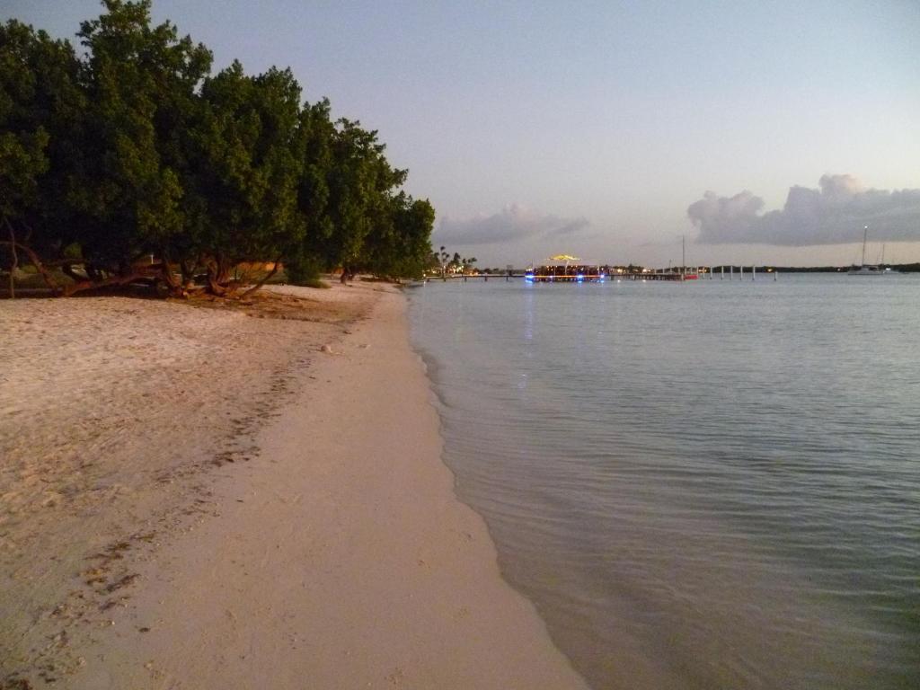 Aparthotel Le Chateau Ocean