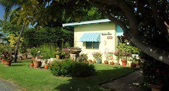 Bed & Breakfast Hidden Eden Aruba Bed And Breakfast Oranjestad