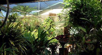 Bed & Breakfast Hidden Eden Aruba Bed And Breakfast 3*