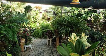 Bed & Breakfast Hidden Eden Aruba Bed And Breakfast 3*