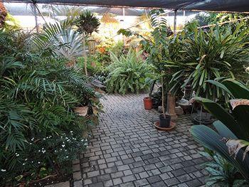 Bed & Breakfast Hidden Eden Aruba Bed And Breakfast