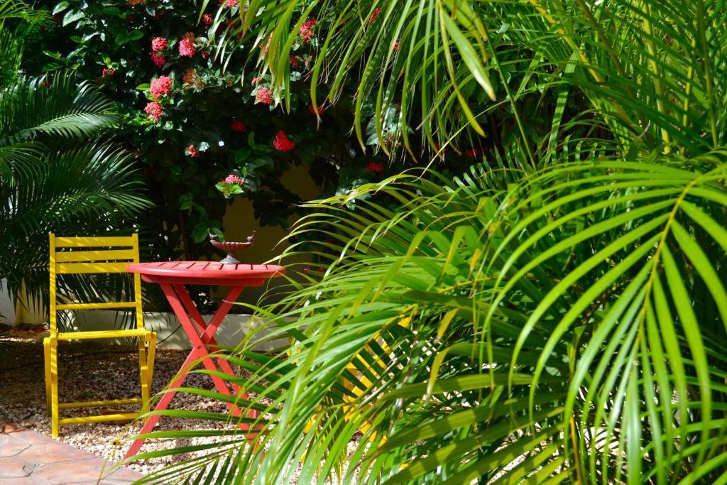Wonders Boutique Hotel 3*