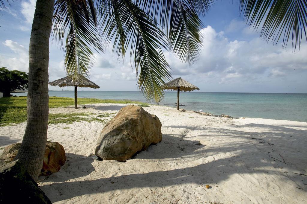 Villa Bougainvillea Aruba, The Tango *