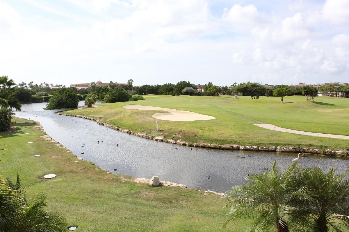 Divi Studio Palm Beach
