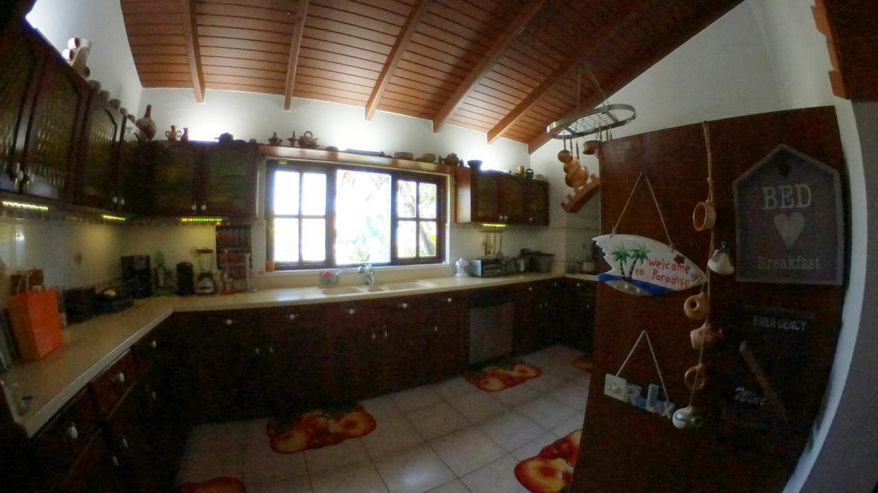 De Cuba Bed & Breakfast Noord
