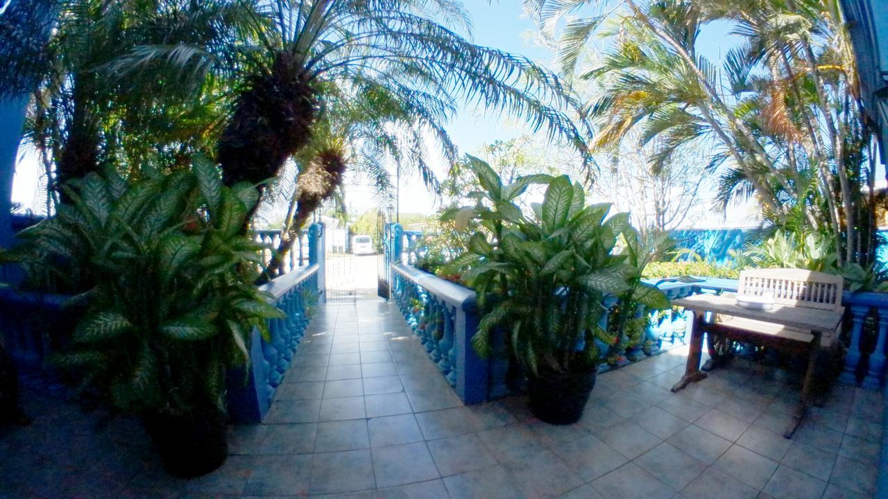 De Cuba Bed & Breakfast Noord