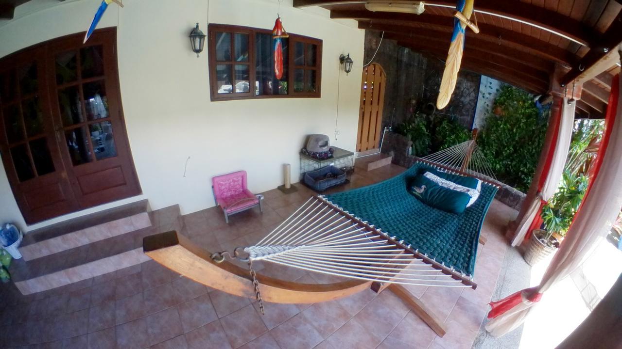 De Cuba Bed & Breakfast Noord