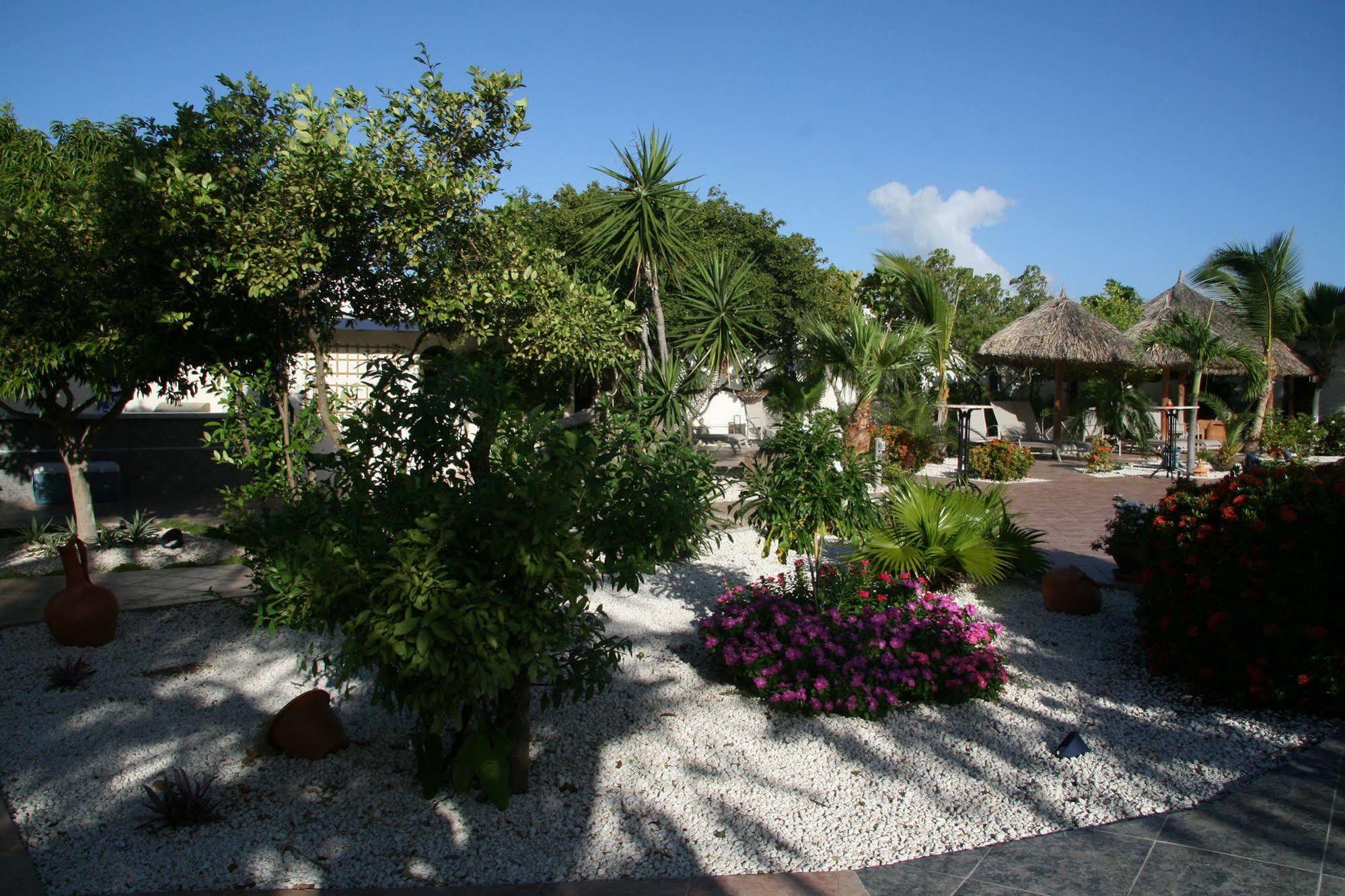 Bed & Breakfast Club Arias Savaneta