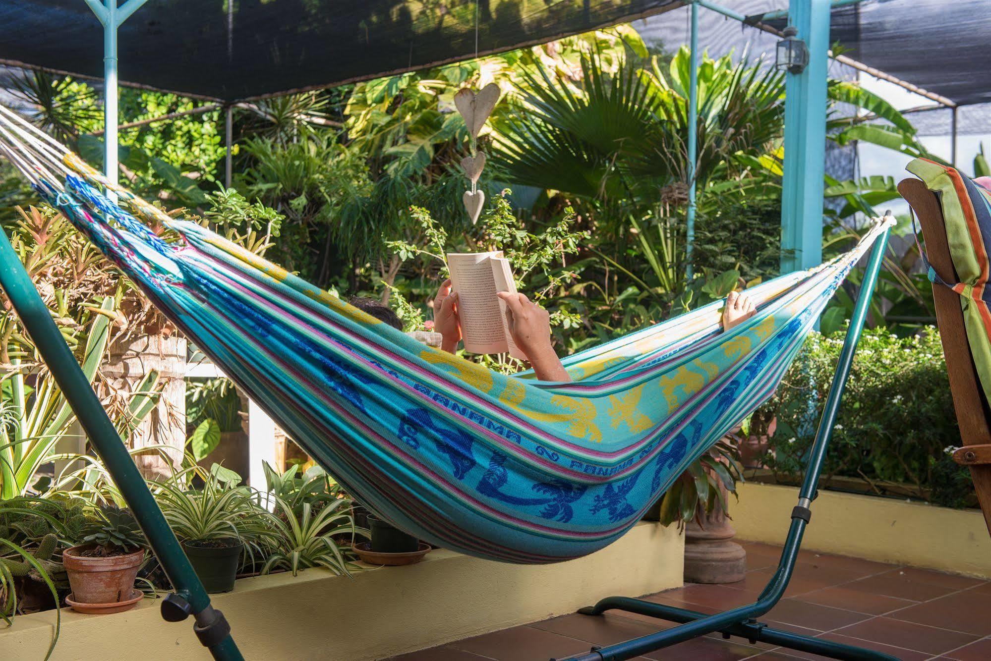 Hidden Eden Aruba Bed And Breakfast