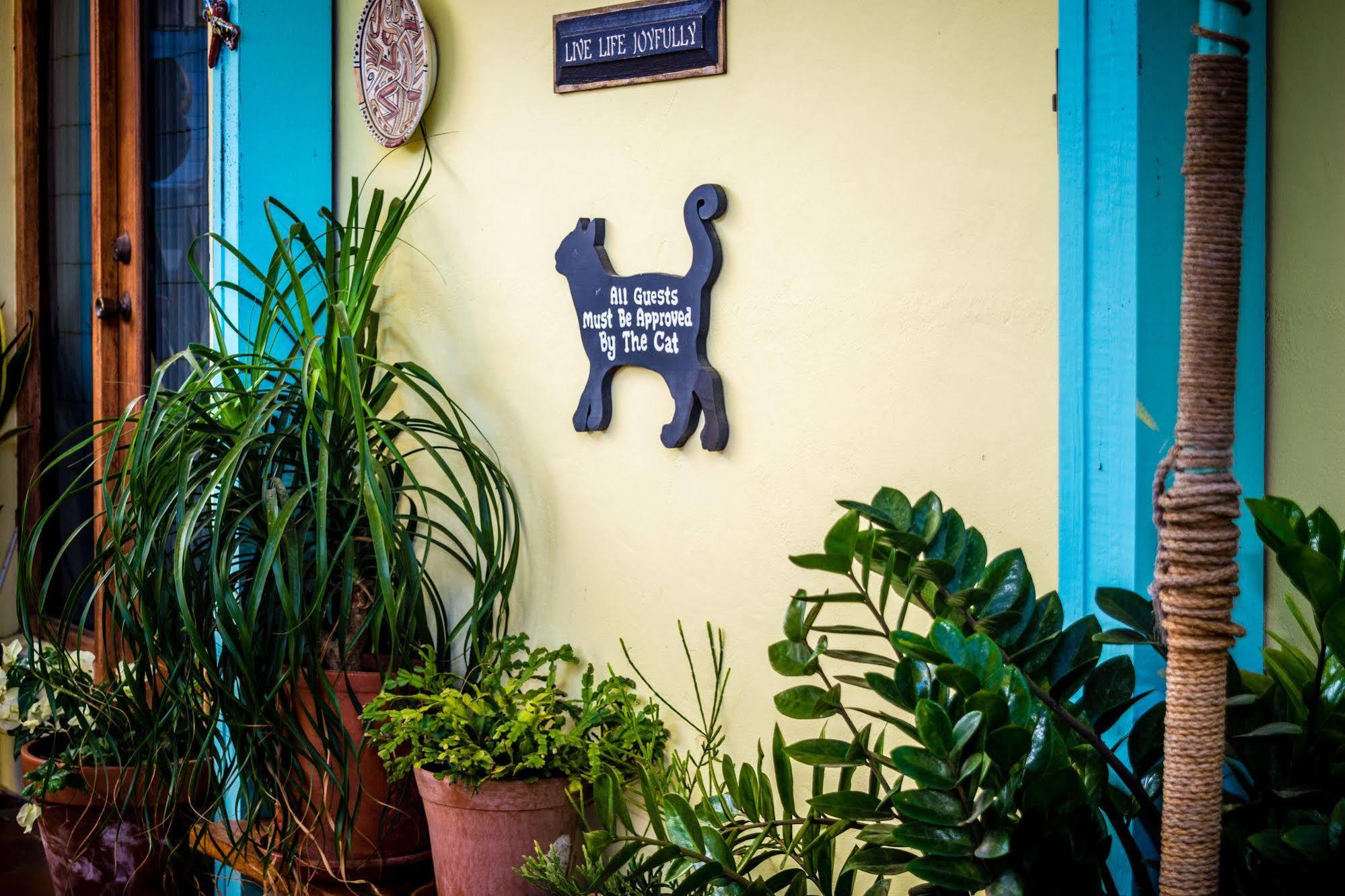 Hidden Eden Aruba Bed And Breakfast Oranjestad