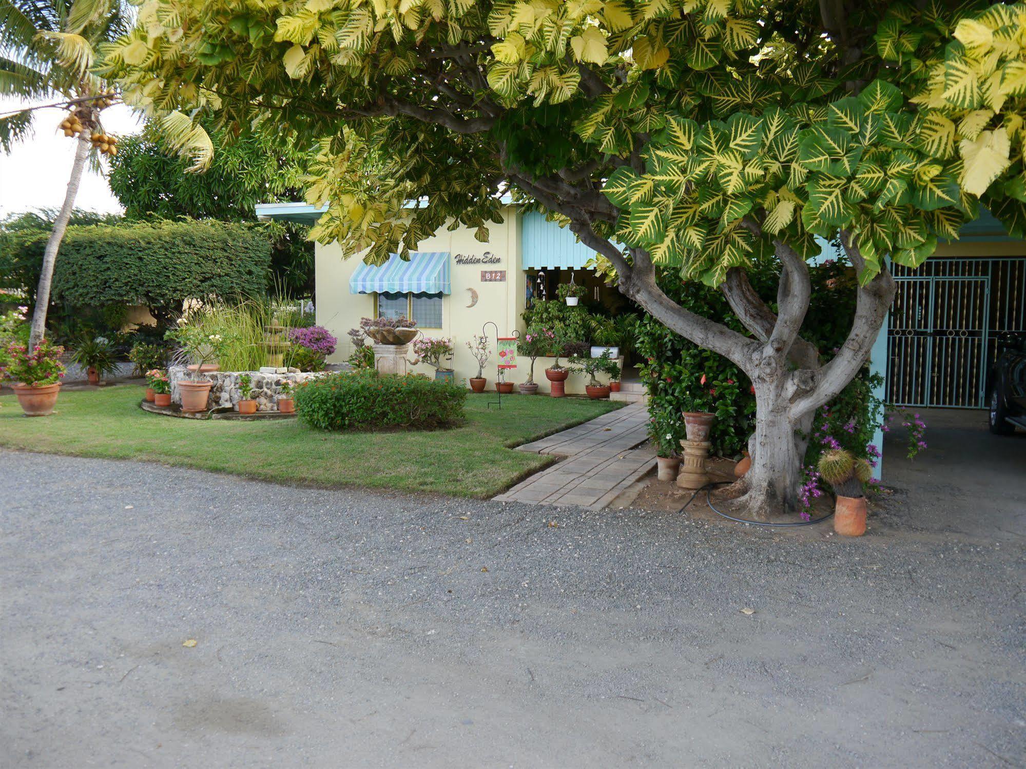 Hidden Eden Aruba Bed And Breakfast Bed & Breakfast 3*