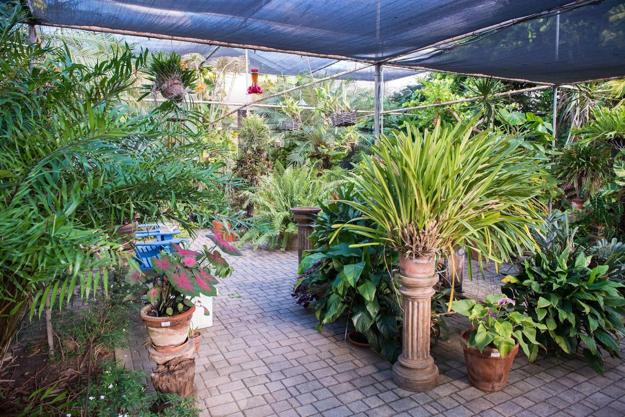 Bed & Breakfast Hidden Eden Aruba Bed And Breakfast 3*