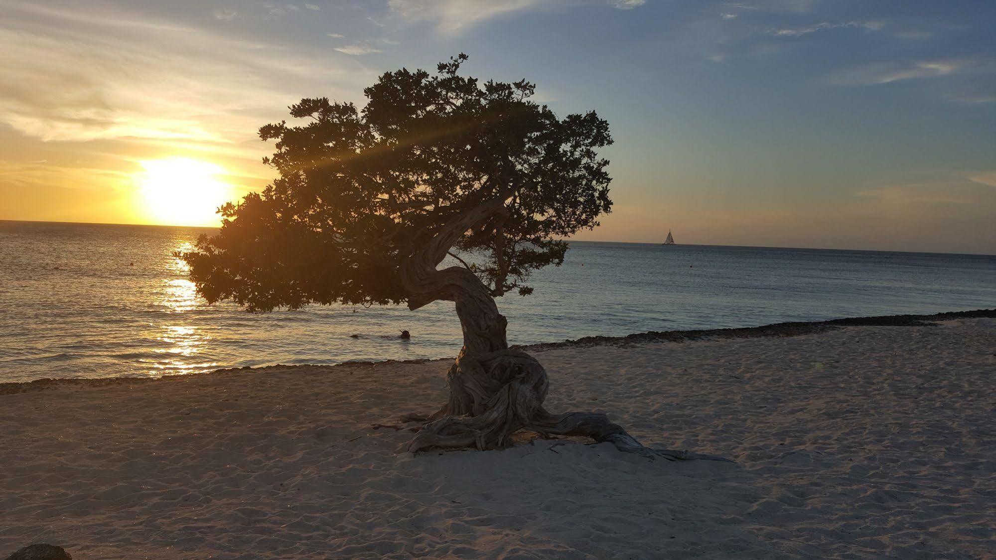 Sandra Tours 3* Palm Beach