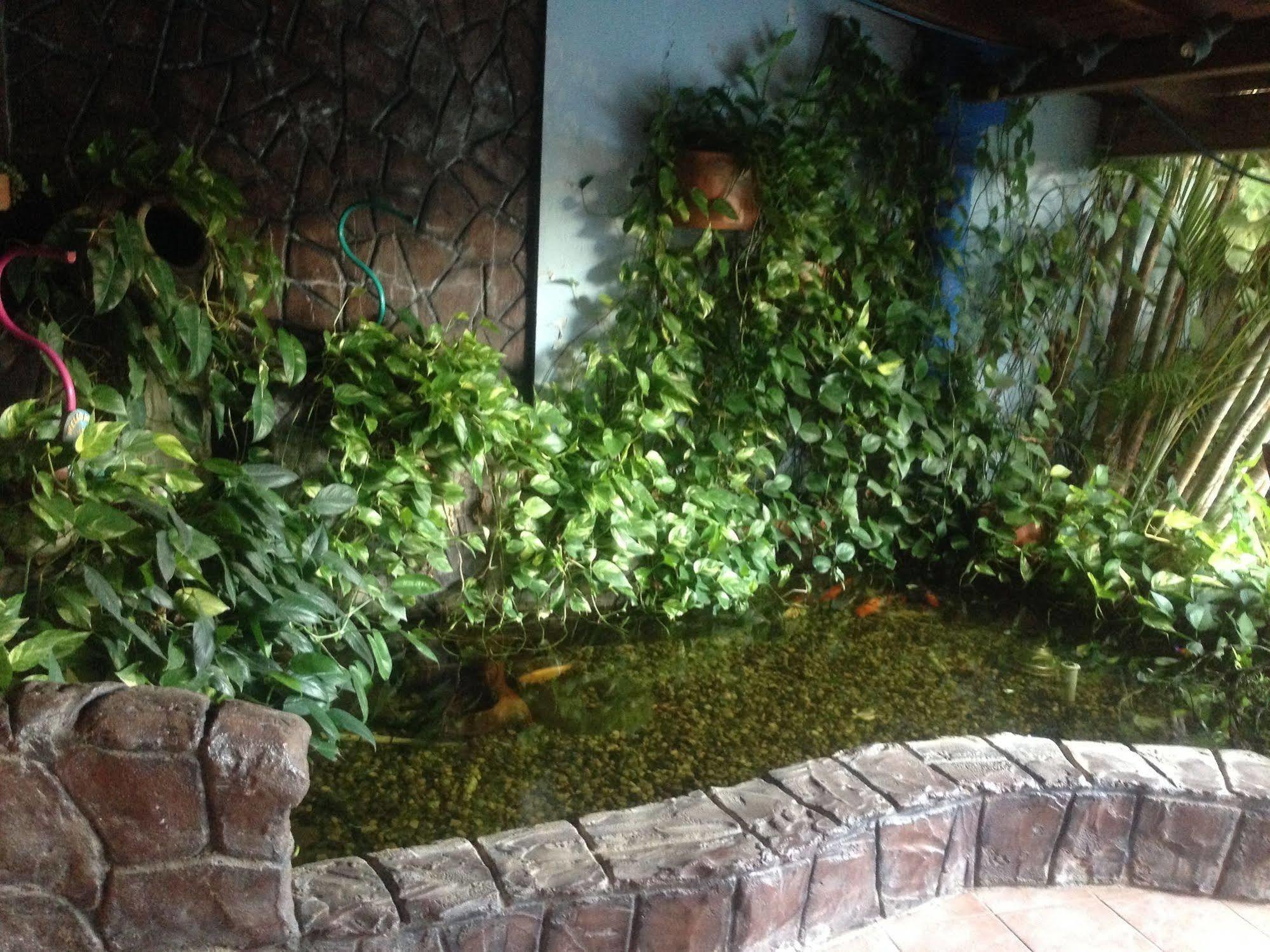 De Cuba Bed & Breakfast 3*