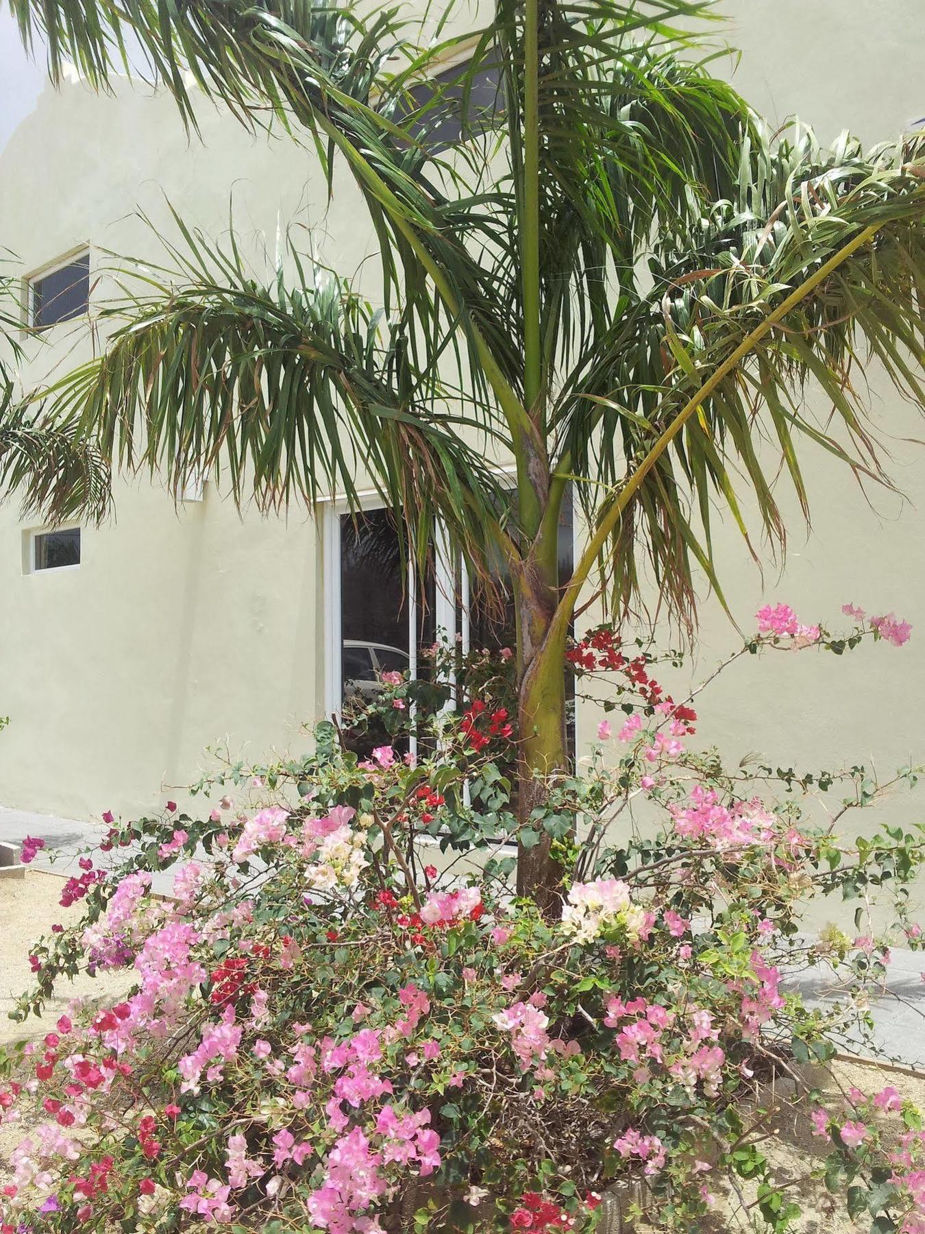 Apartment Agua Clara Eco Oranjestad