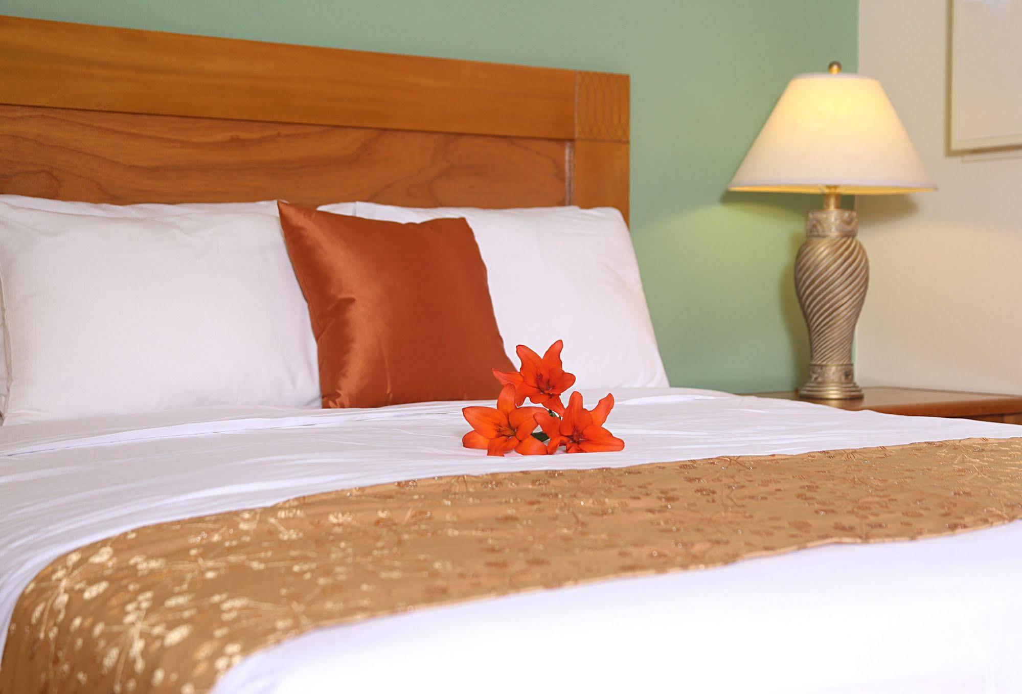 Punto Di Oro Aparthotel Tanki Leendert