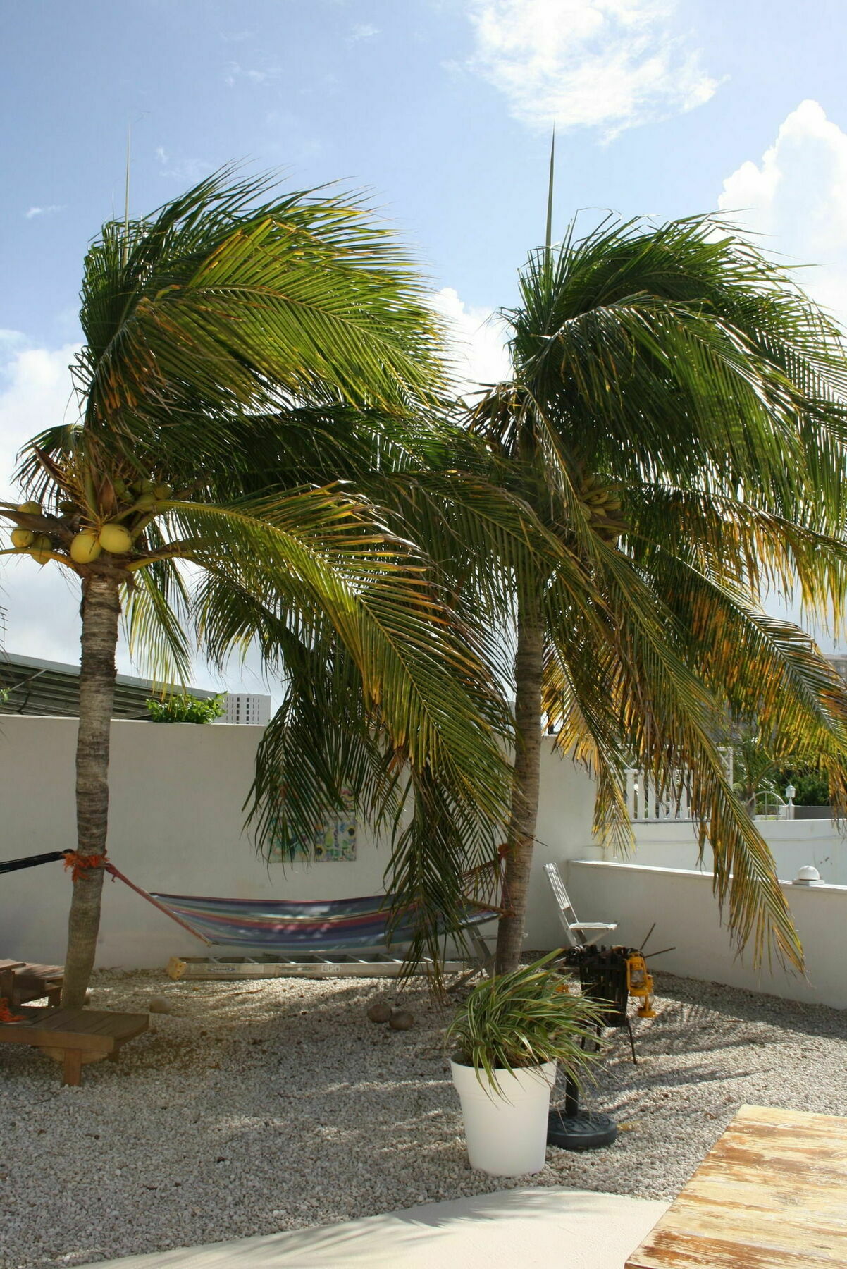 Karibu Aruba Hotel