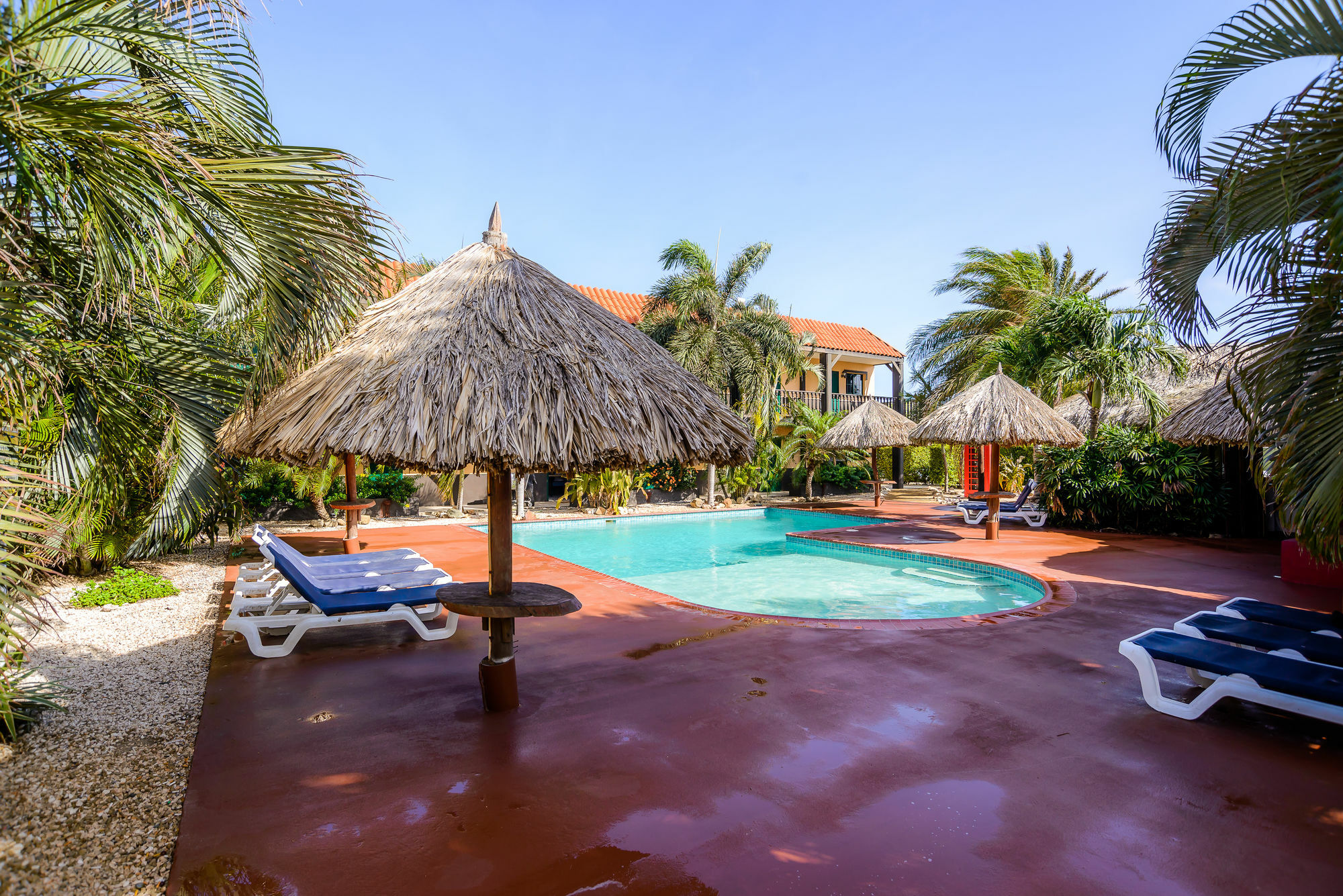 Perle D'or Aruba 3* Palm Beach