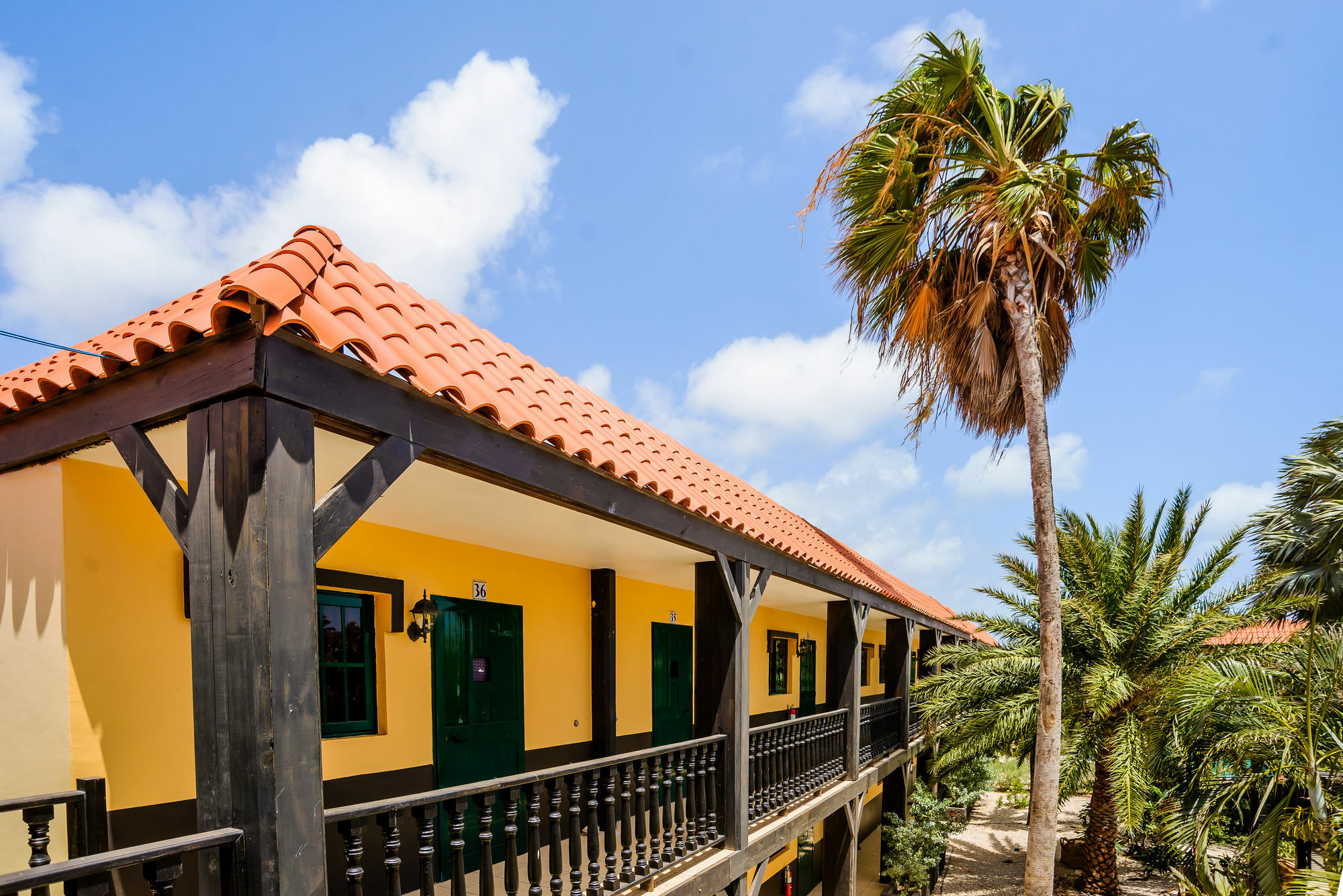 Hotel Perle D'or Aruba 3*