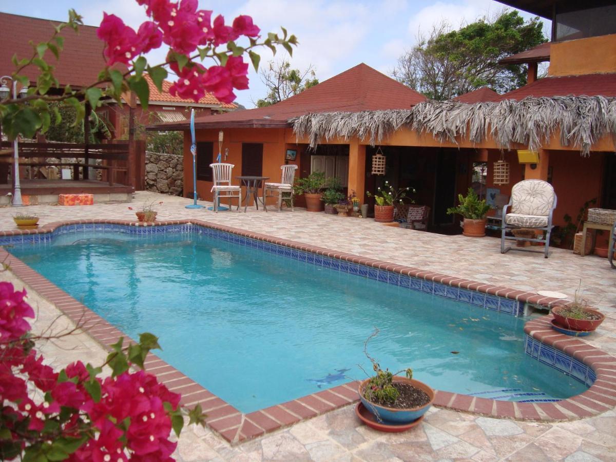 Bed & Breakfast Fuego Mio