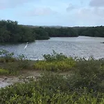 Palmhouse Apartments Aruba 1- 4 Persons