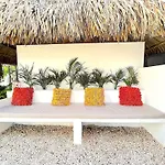Aruba Lagunita