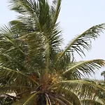 Karibu Aruba Boutique Hotel