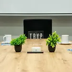 Tryp By Wyndham Aruba Adults Only Hotel