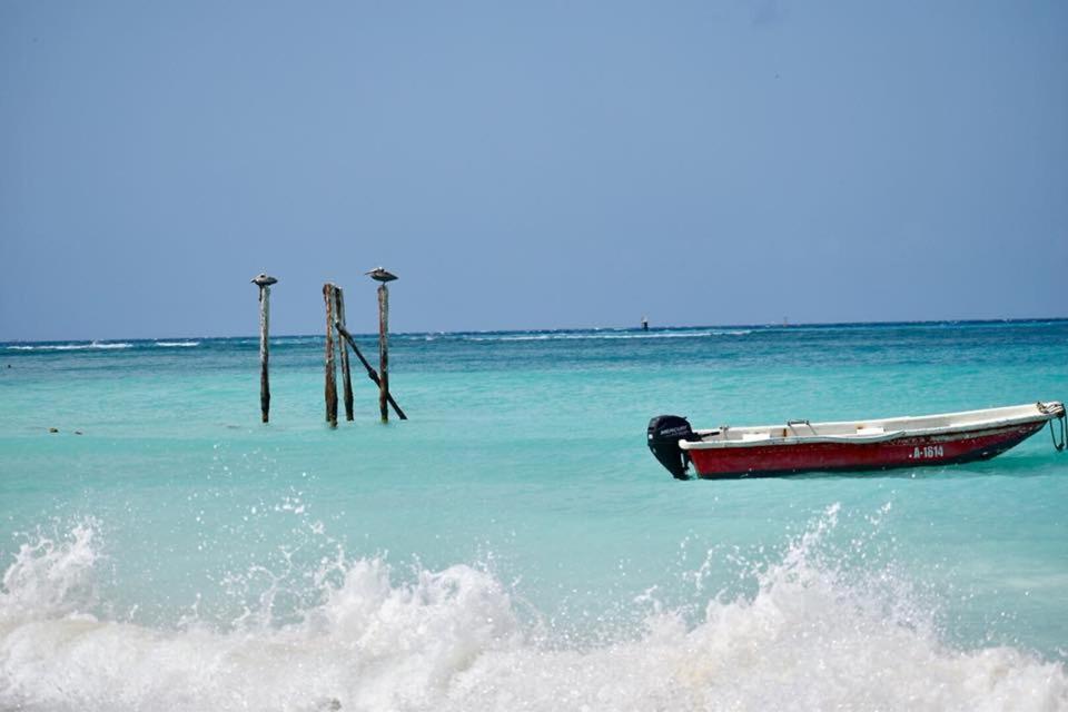 Palmhouse Aruba 1- 4 Persons *