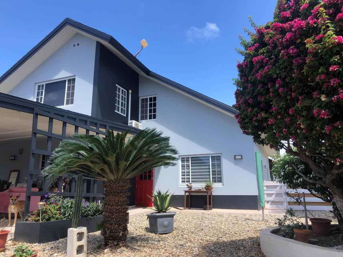 Apartment Palmhouse Aruba 1- 4 Persons *