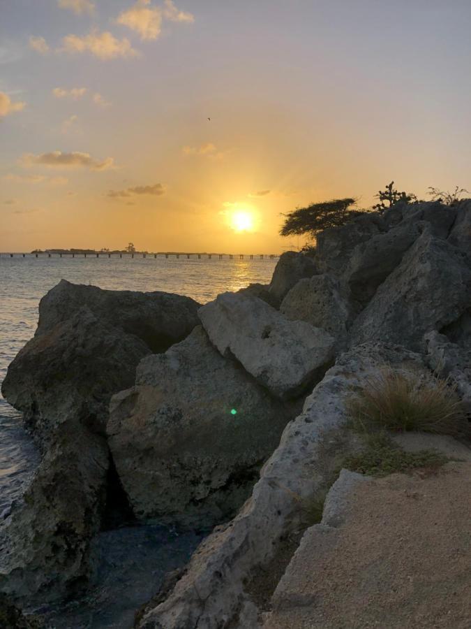 Palmhouse Aruba 1- 4 Persons Apartment