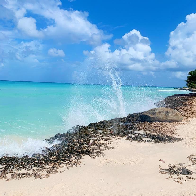 Aparthotel Executive Real Estate At Divi Golf Oranjestad