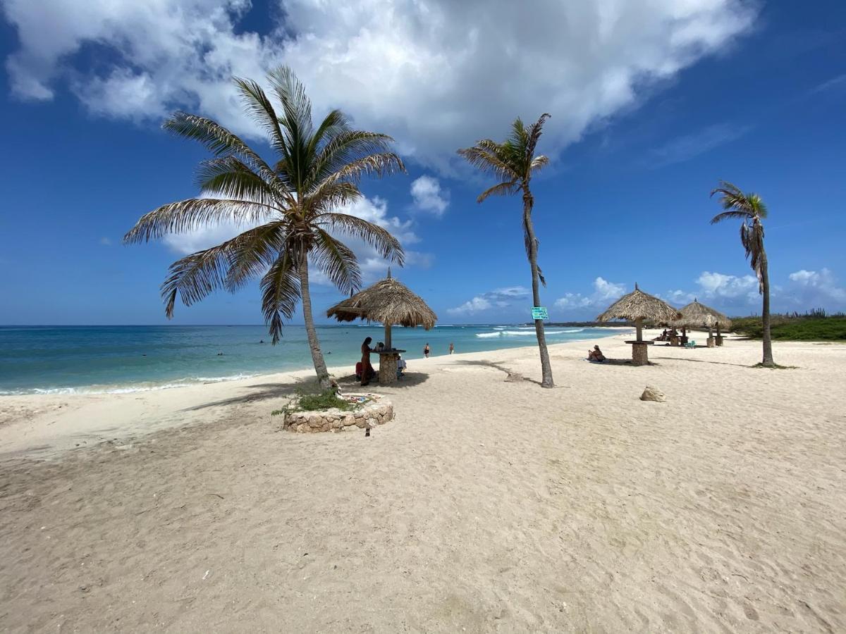 Luxury Ocean View @ Aruba's Palm *