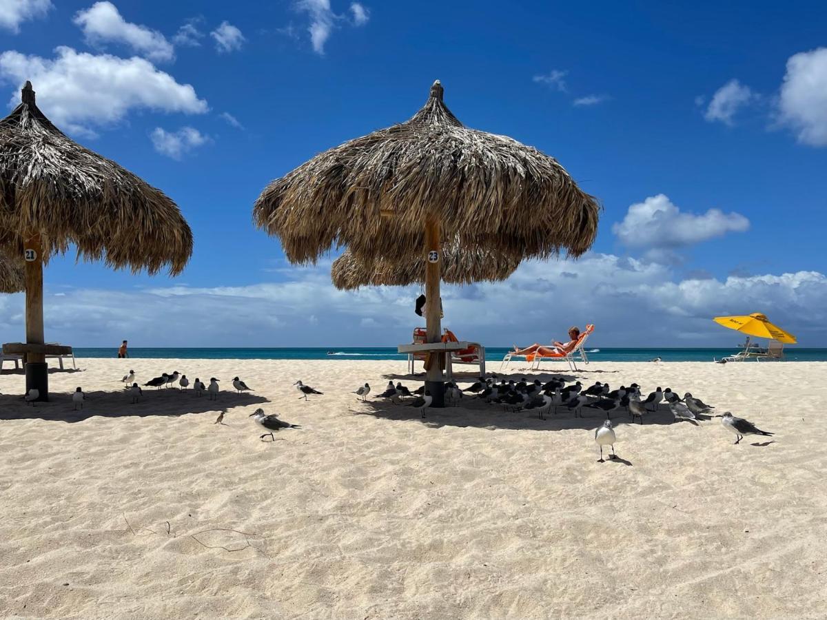 Apartamento Luxury Ocean View @ Aruba's Palm Palm Beach