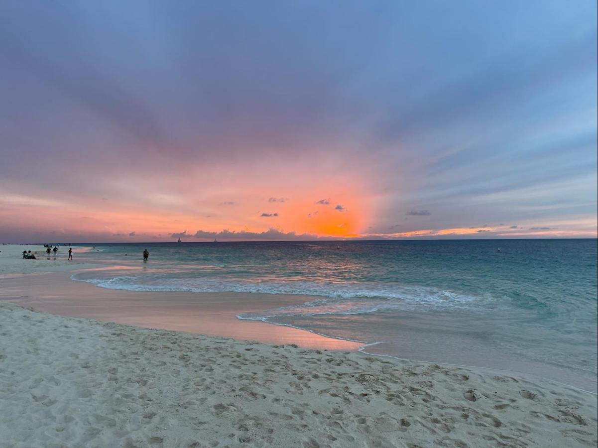 Luxury Ocean View @ Aruba's Palm Apartment *