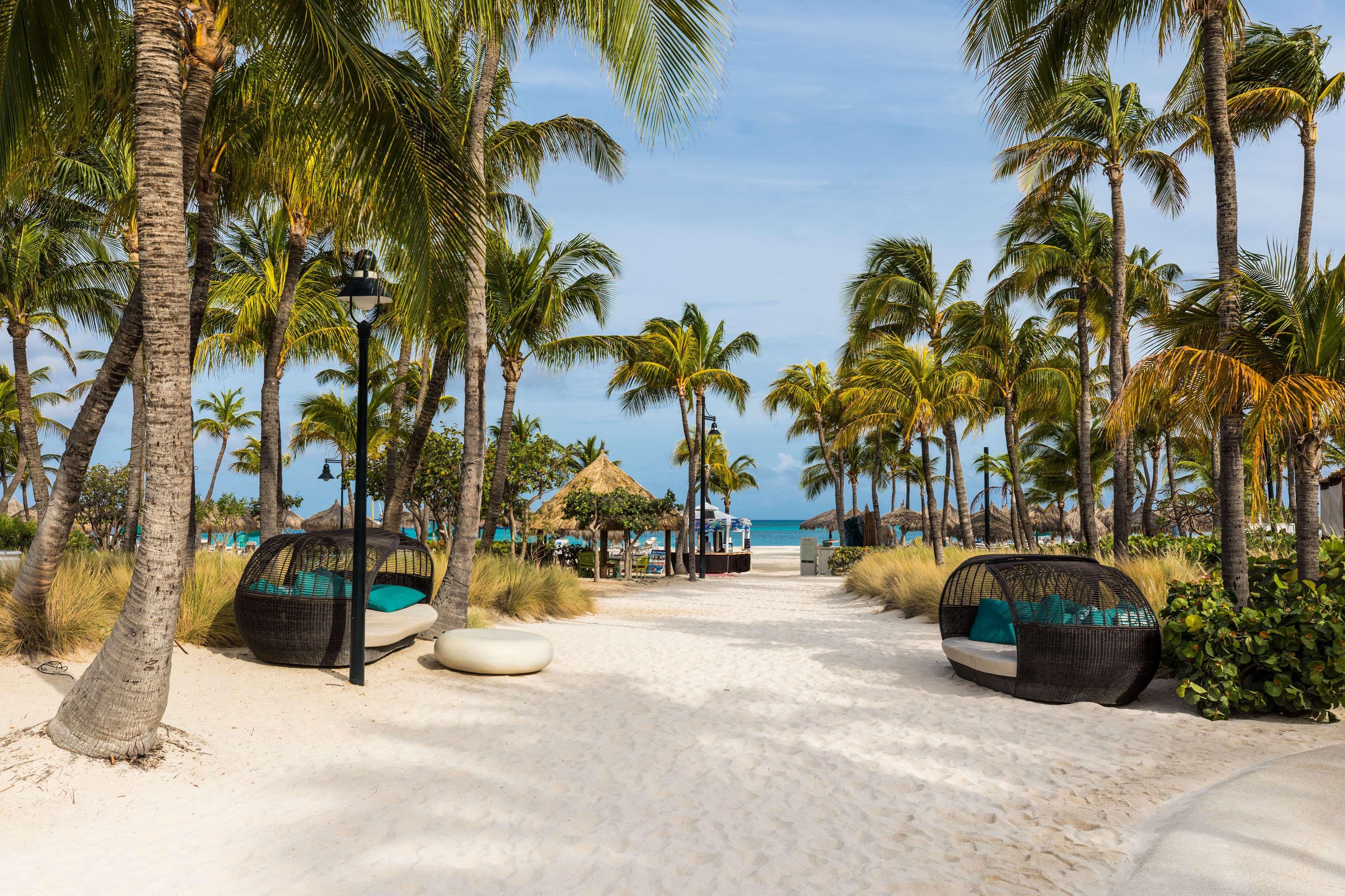 Hilton Aruba Caribbean & Casino 4*