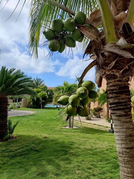 Aruba Family Oasis 2Br Pool 3Min Walk To Eagle Beach Palm Beach