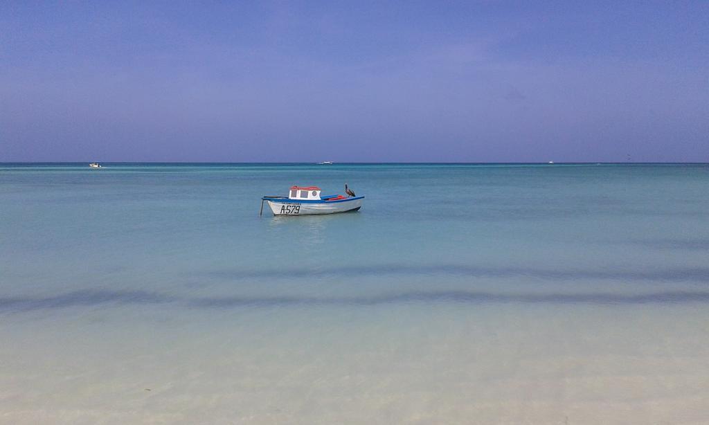 Karibu Aruba