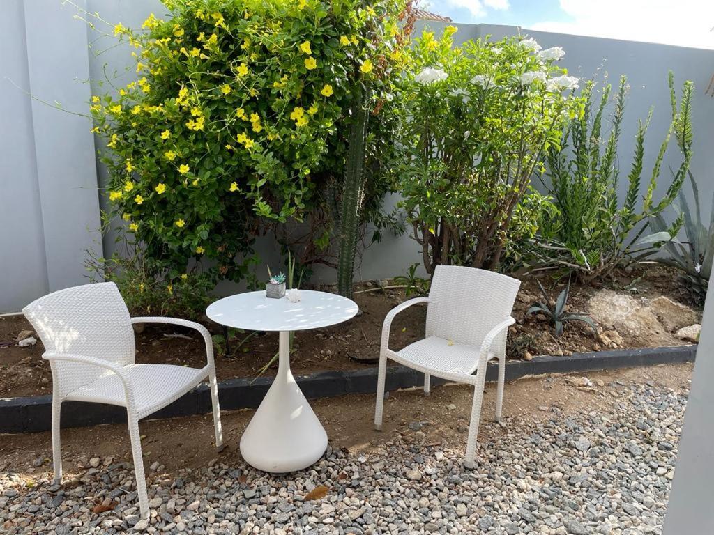 Apartment Palmhouse Aruba 1- 4 Persons Savaneta