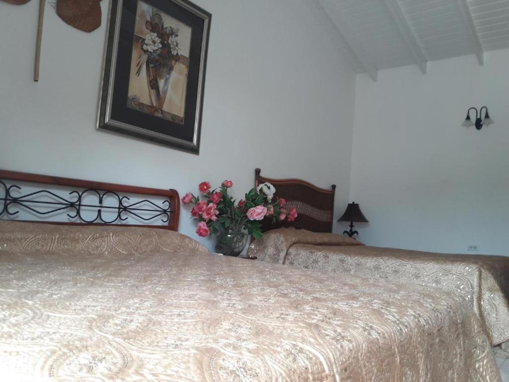 Aparthotel First Day Hotel On Aruba