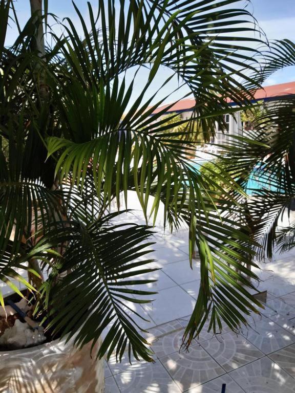 First Day Hotel On Aruba * Oranjestad