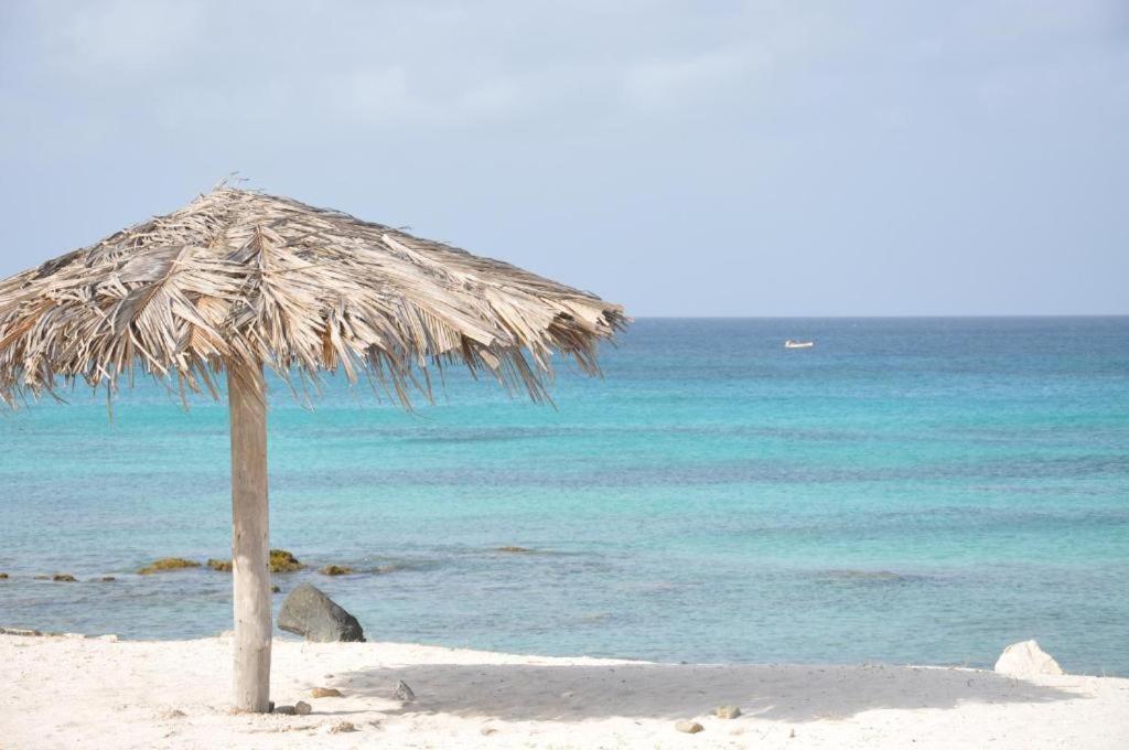 First Day Hotel On Aruba Oranjestad