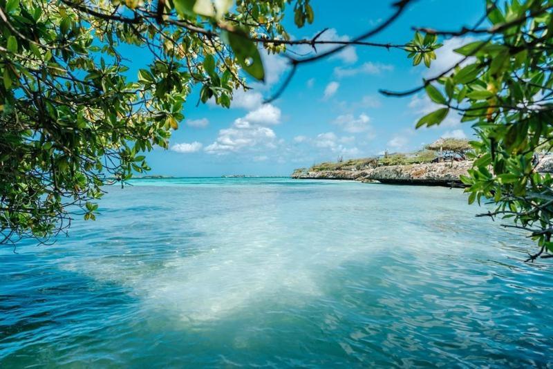 Palmhouse Aruba 1- 4 Persons