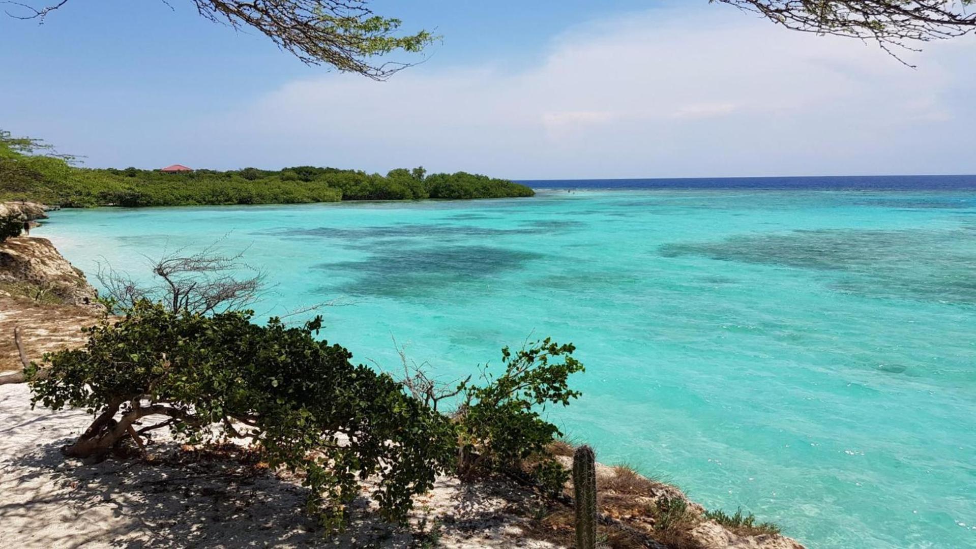 Palmhouse Aruba 1- 4 Persons