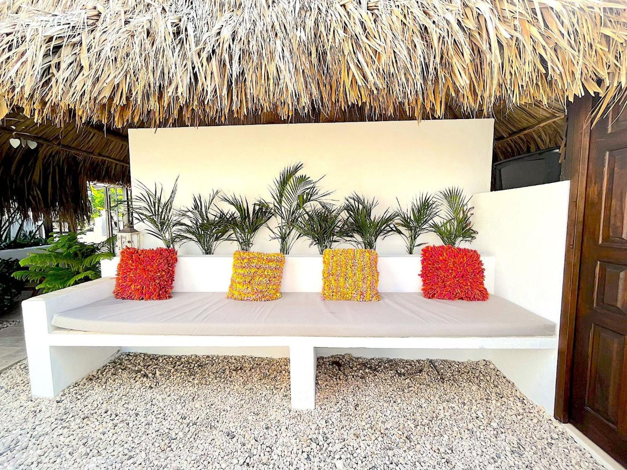 Aruba Lagunita *