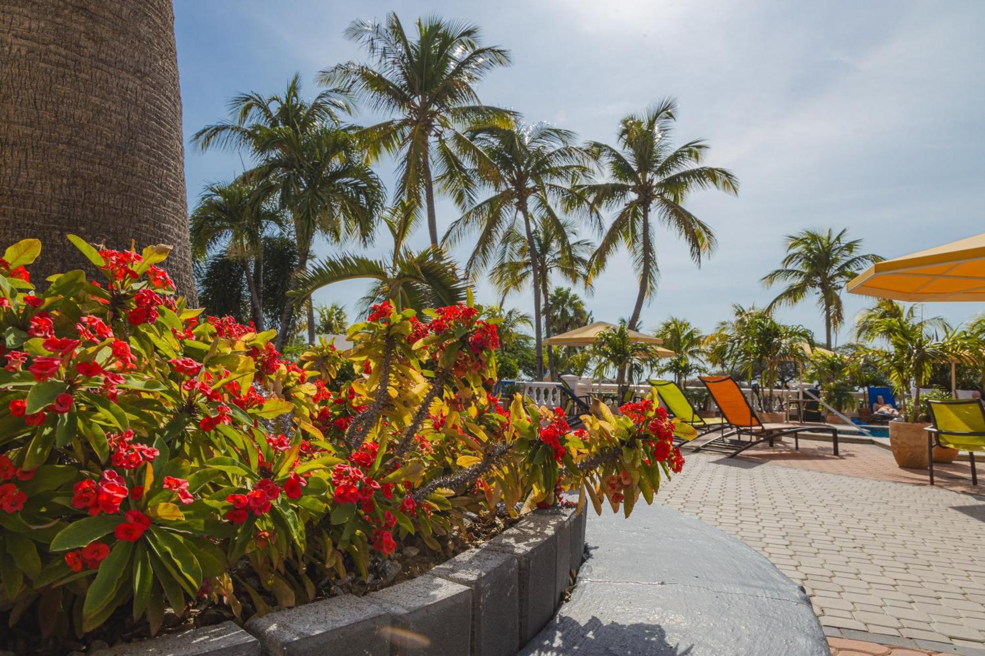 Resort Amsterdam Manor Palm Beach