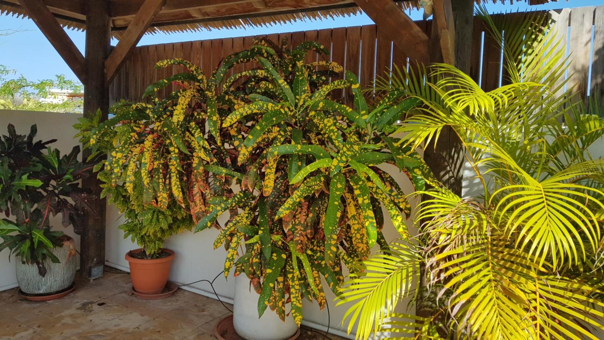 Holiday home Villasafir 15 Niet Boekbaar Palm Beach