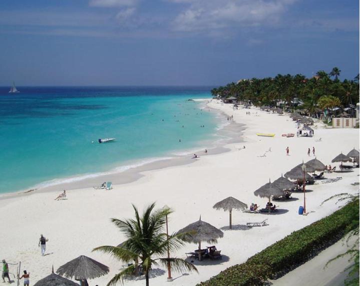 Apartment Divi One Bedroom Palm Beach