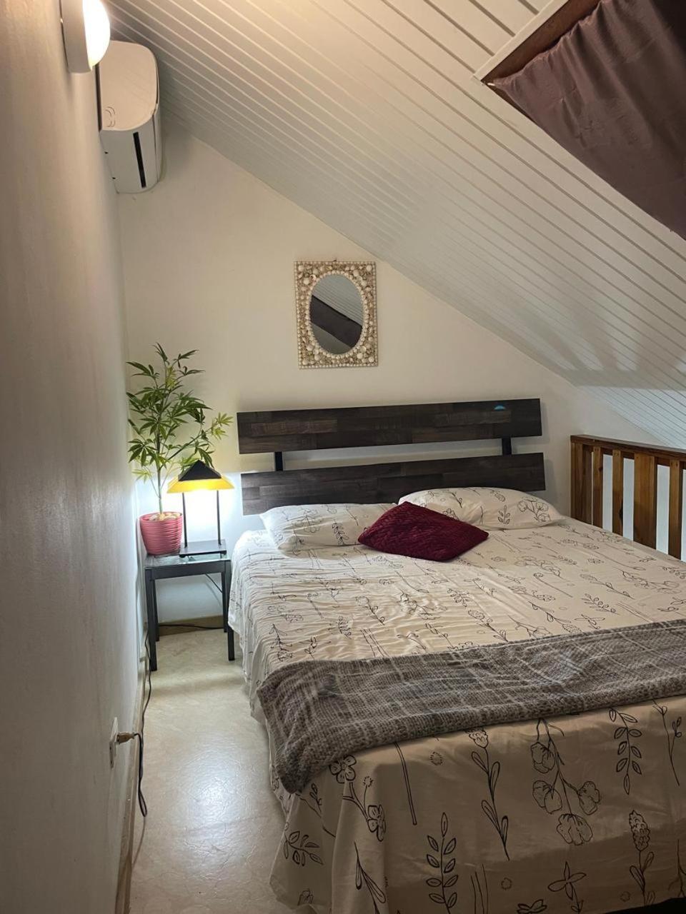 Palmhouse Aruba 1- 4 Persons *