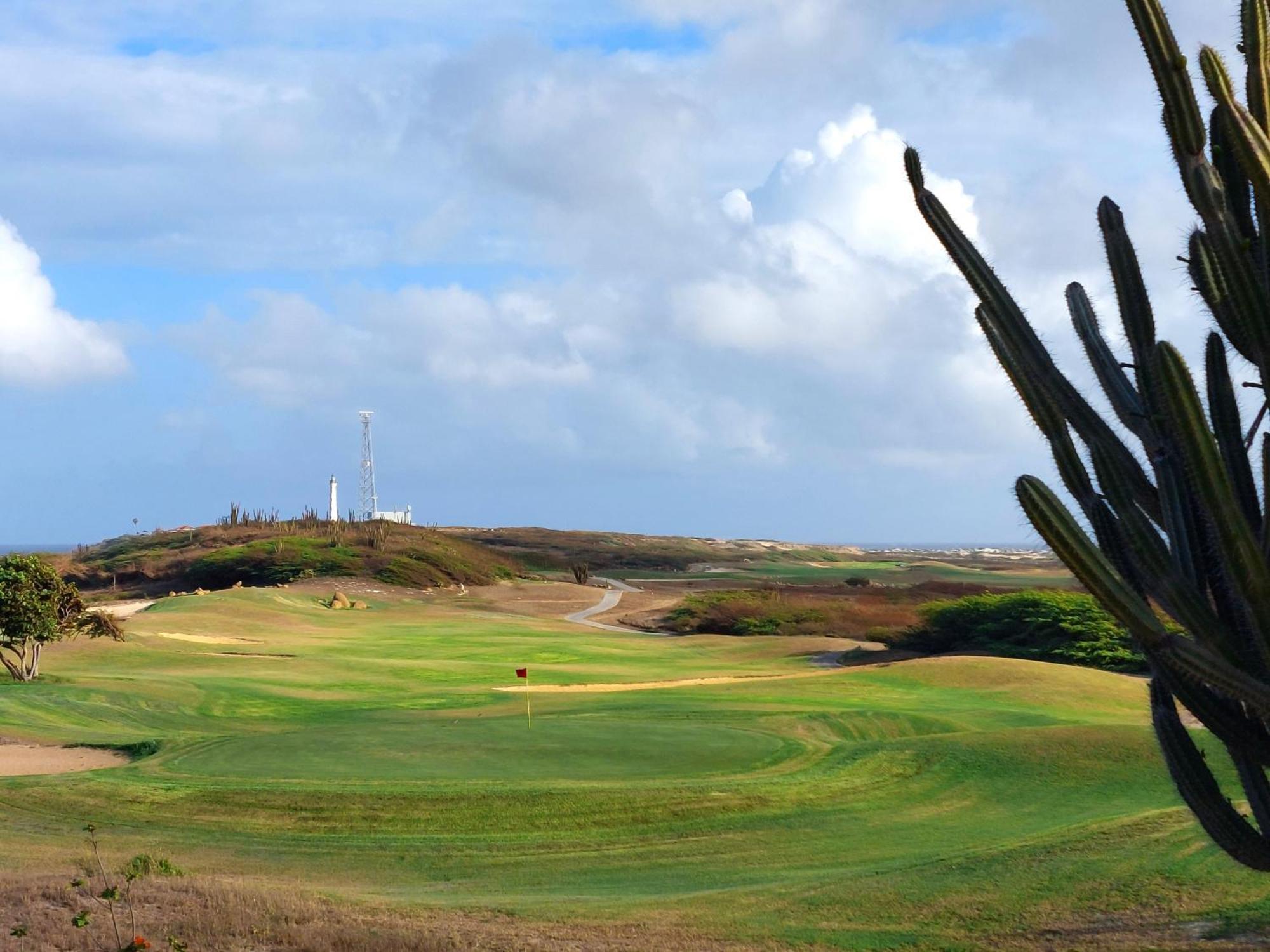 Le Vent Eagle By Bocobay Aruba Palm Beach